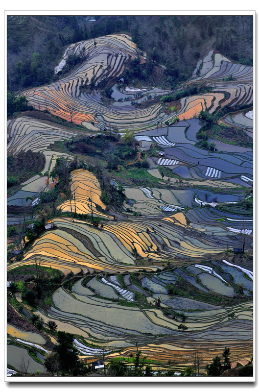 元阳梯田