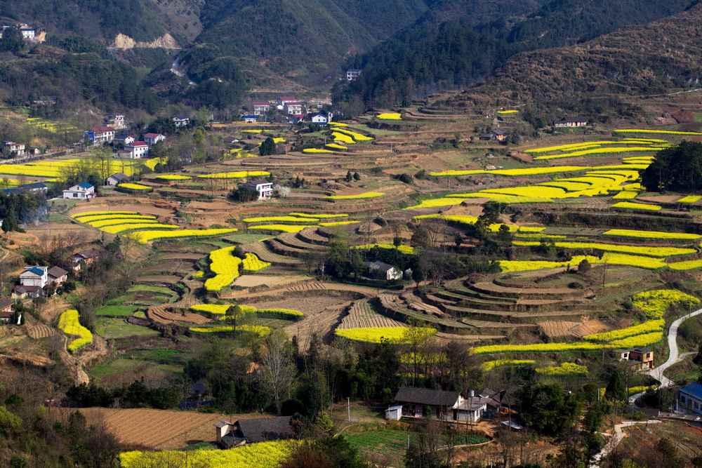 南山梯田