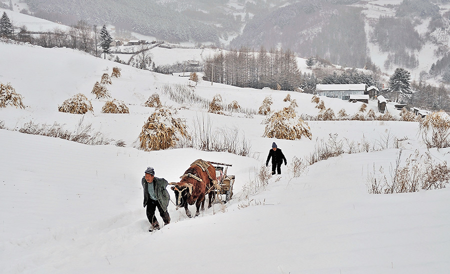 雪村正月