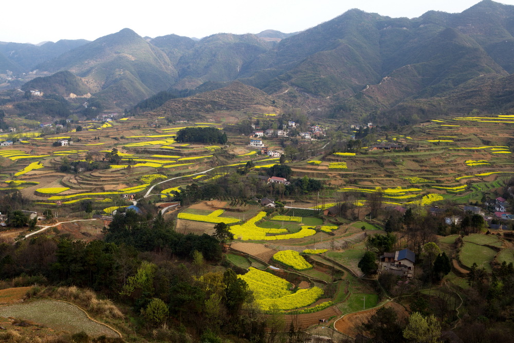 南山梯田2