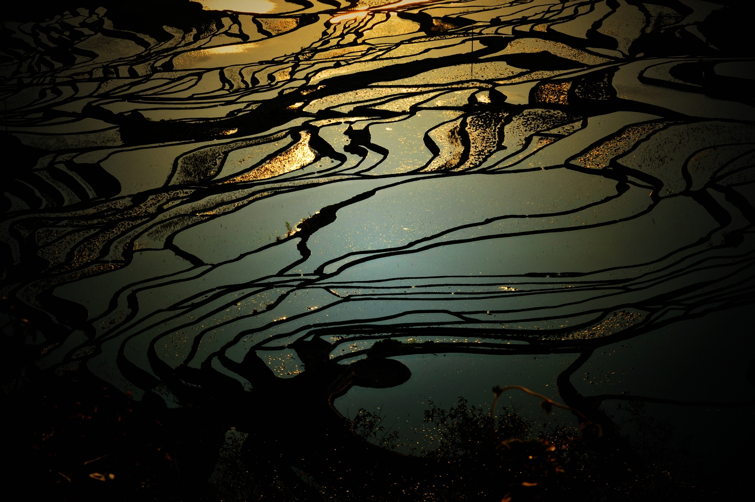 梯 田2