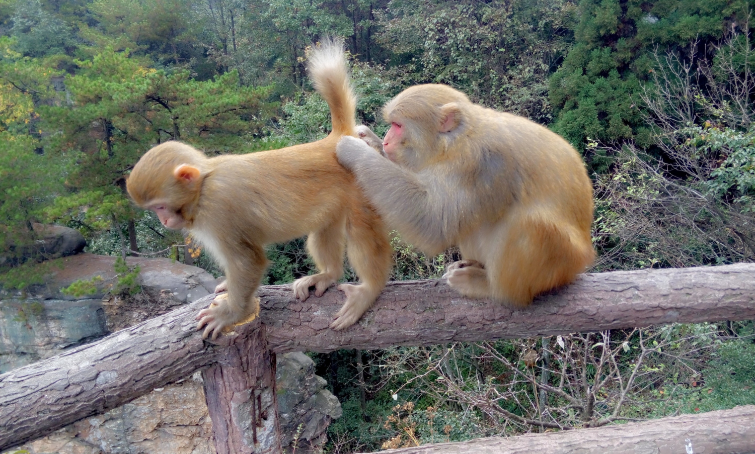 悠闲