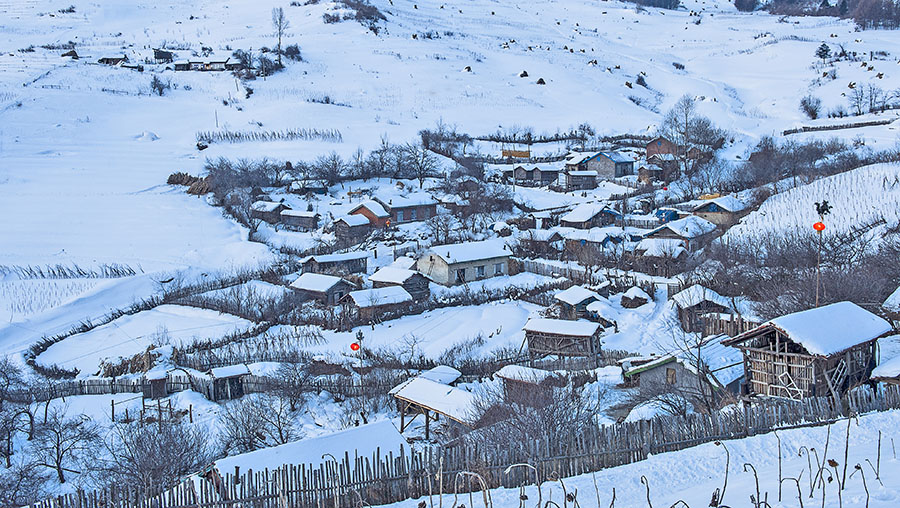 雪村正月