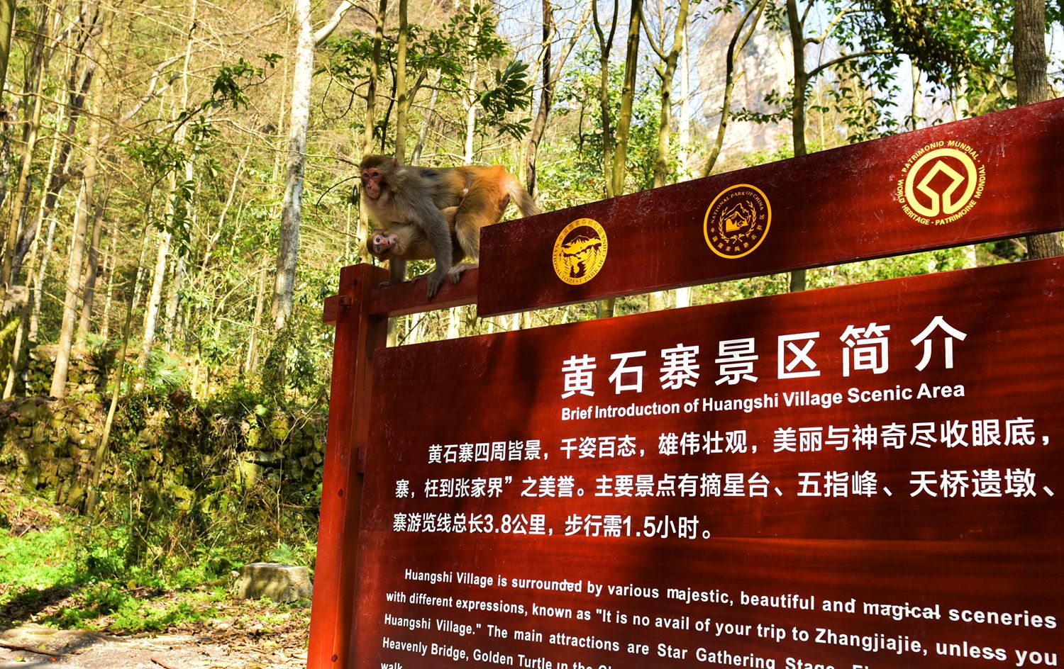 猴趣２