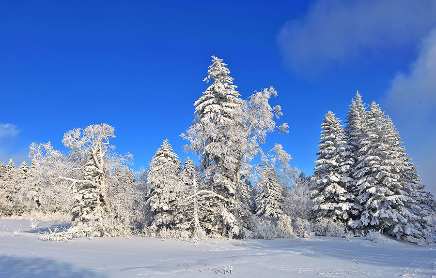 淞润雪岭