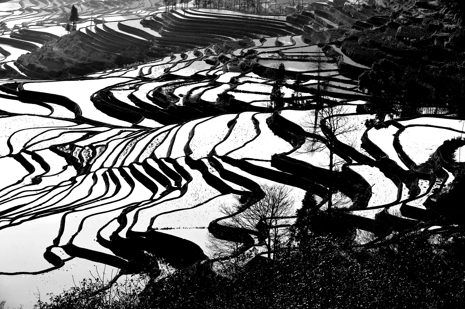 梯 田4