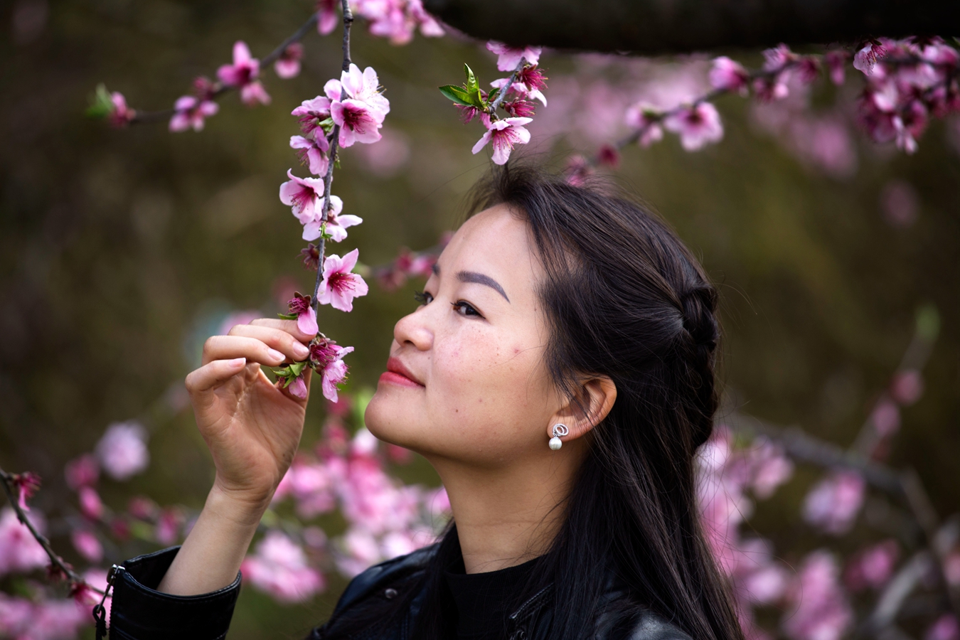 桃花仙子4