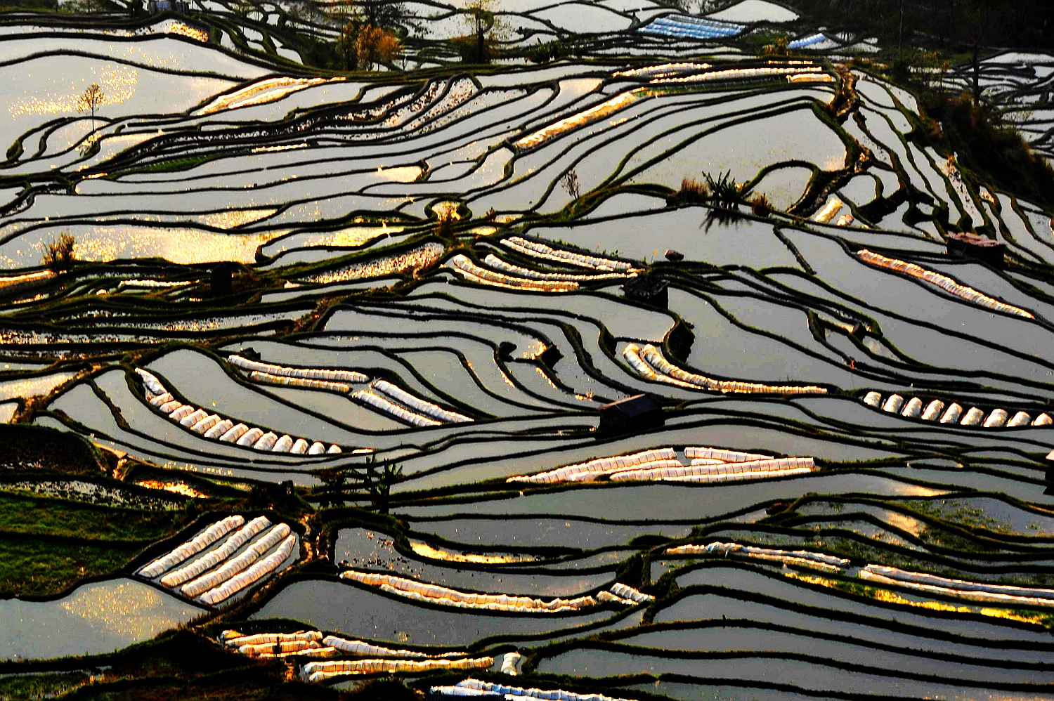 梯 田5