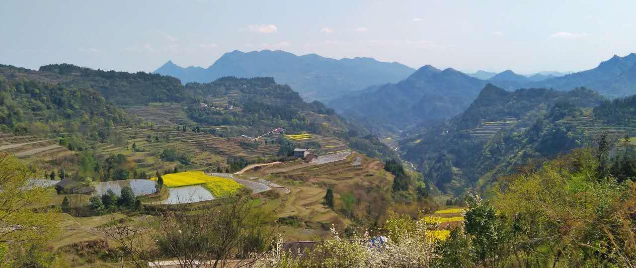 高山上的梯田  龙凤梯田