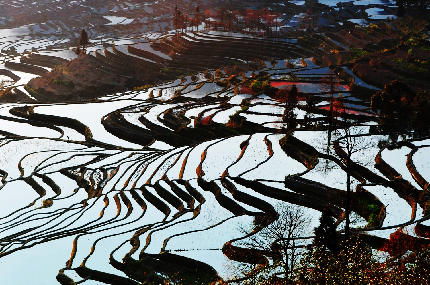 梯 田6