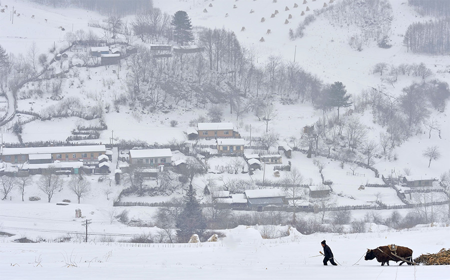 雪村正月