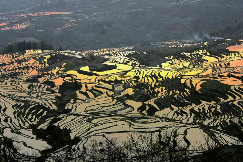梯田－６