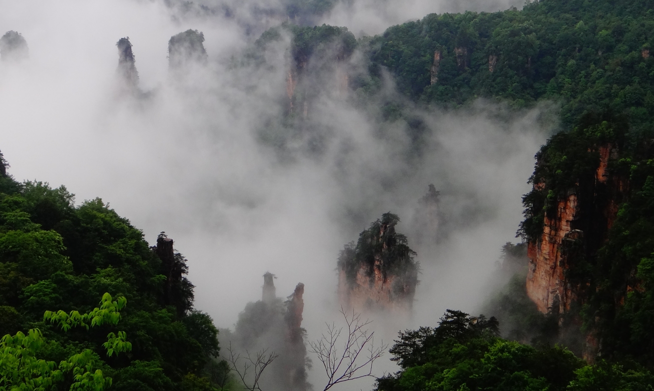 飘飘洒洒