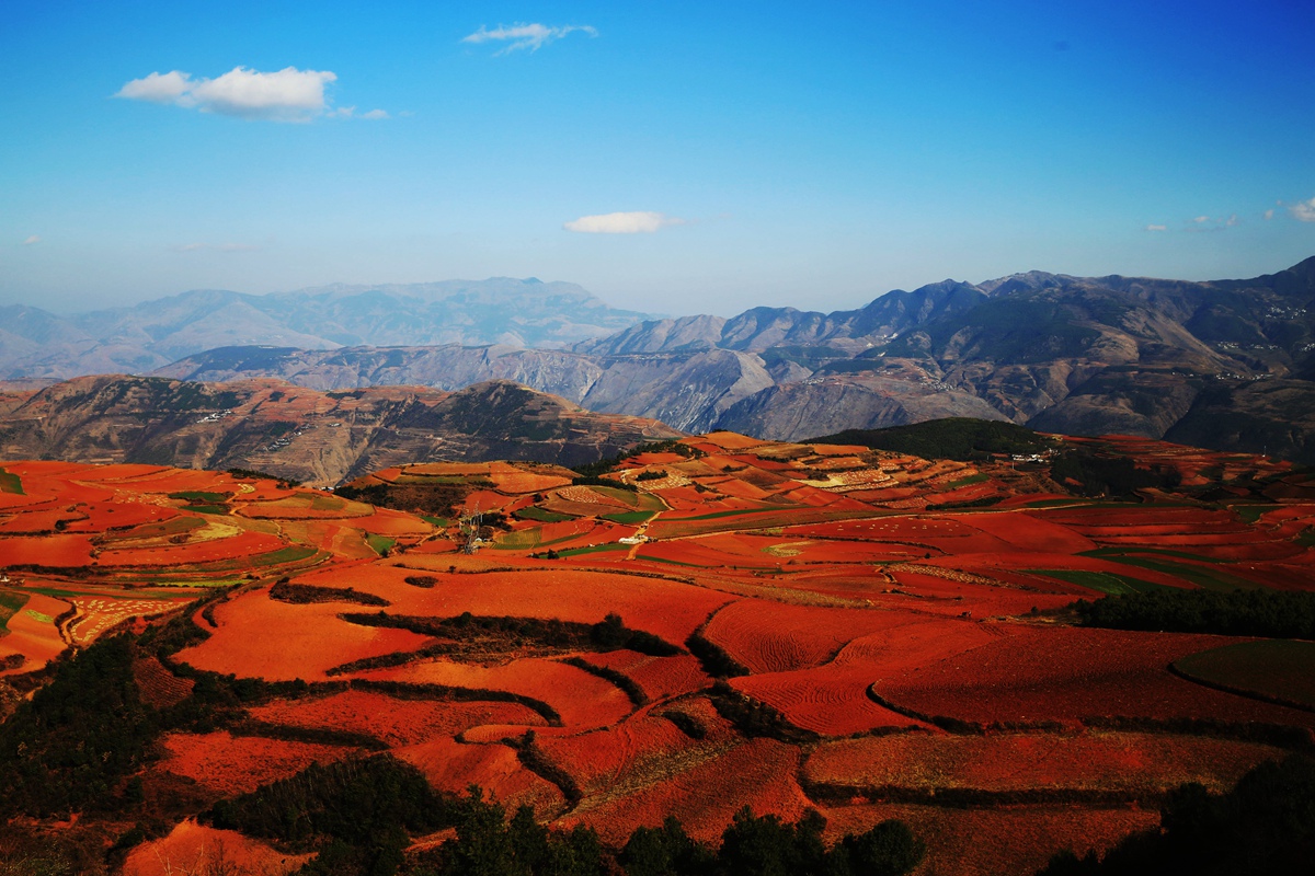 东川红土地