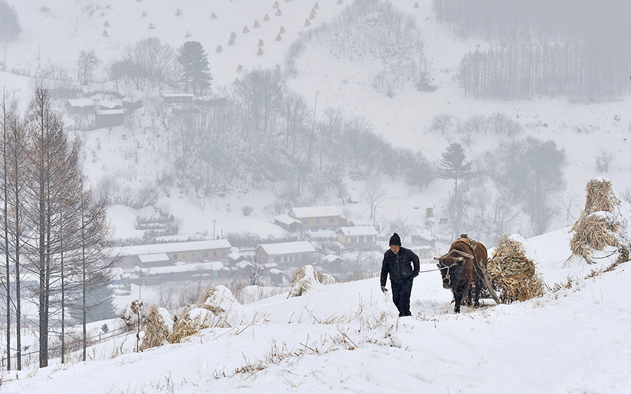 雪村冬忙