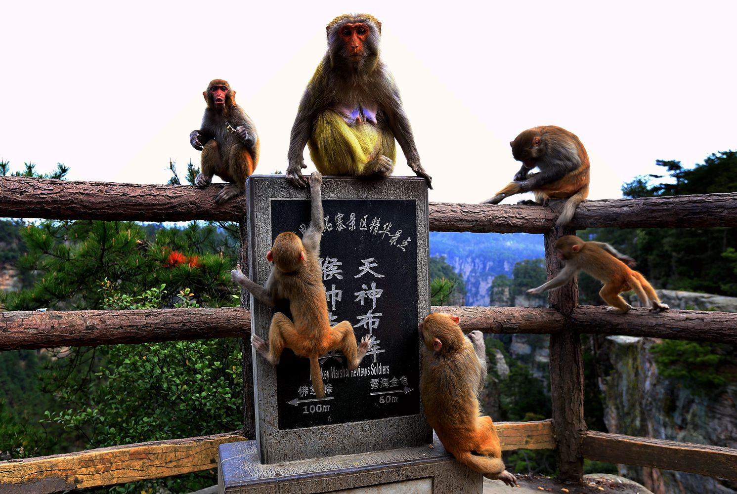 天神布阵