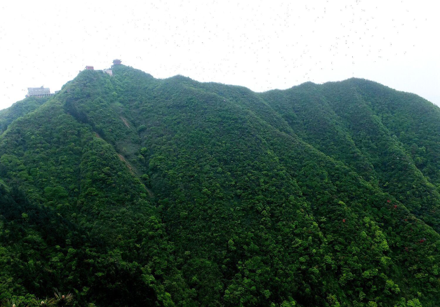 五雷山的后花园
