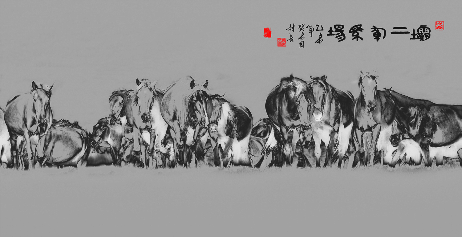 坝上军马