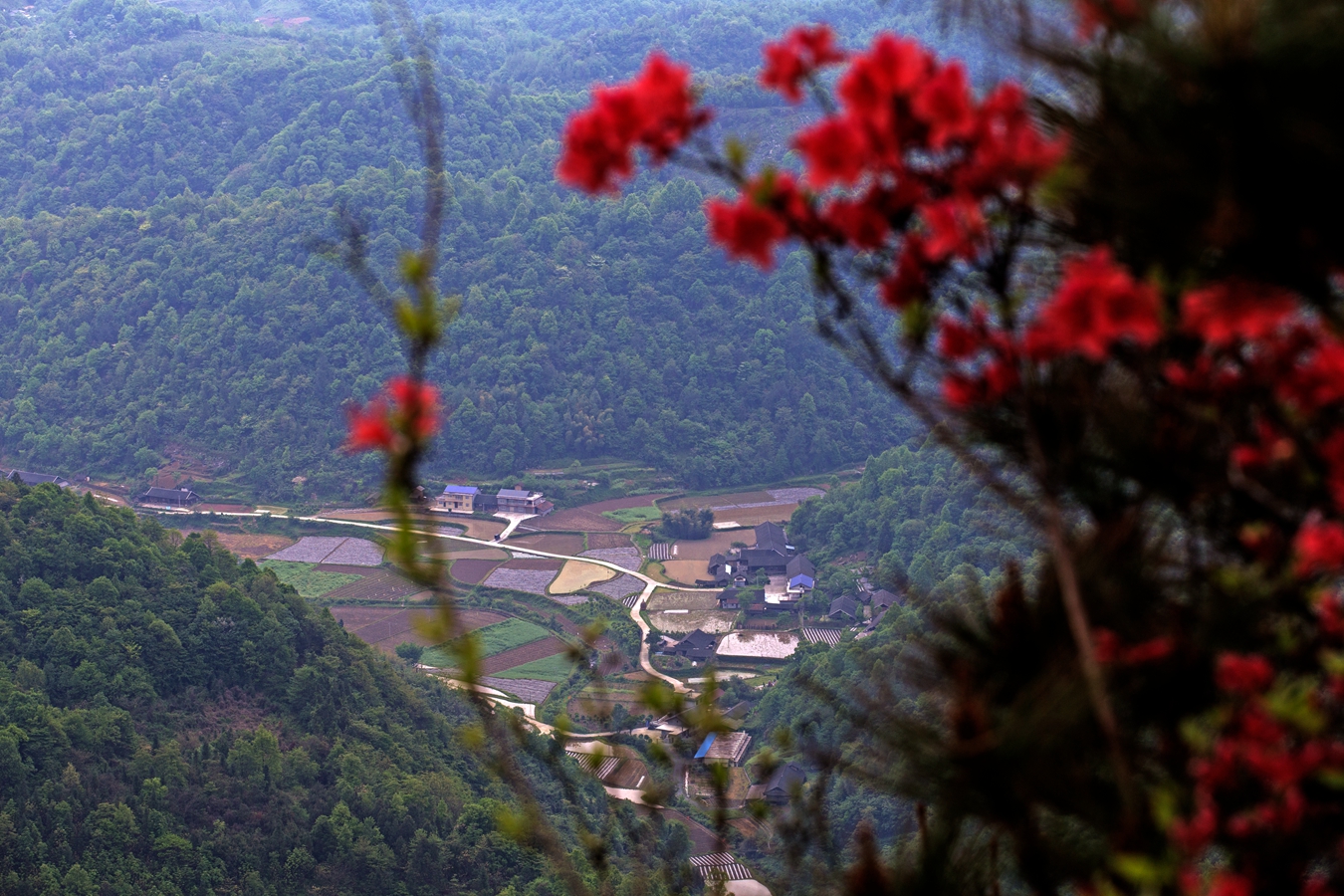 血染罗峰山2