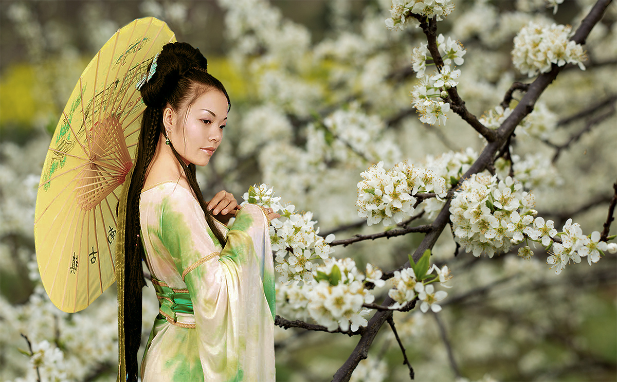 鲜花美女2