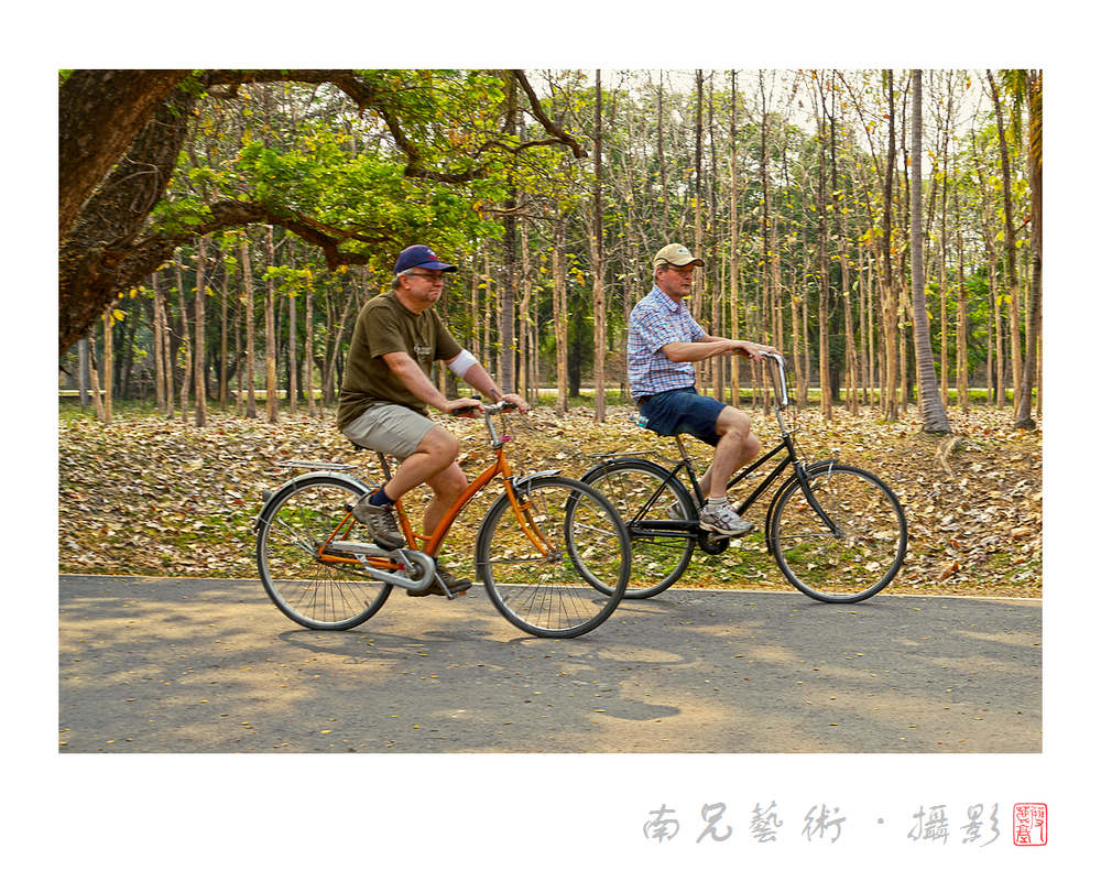 乡村游