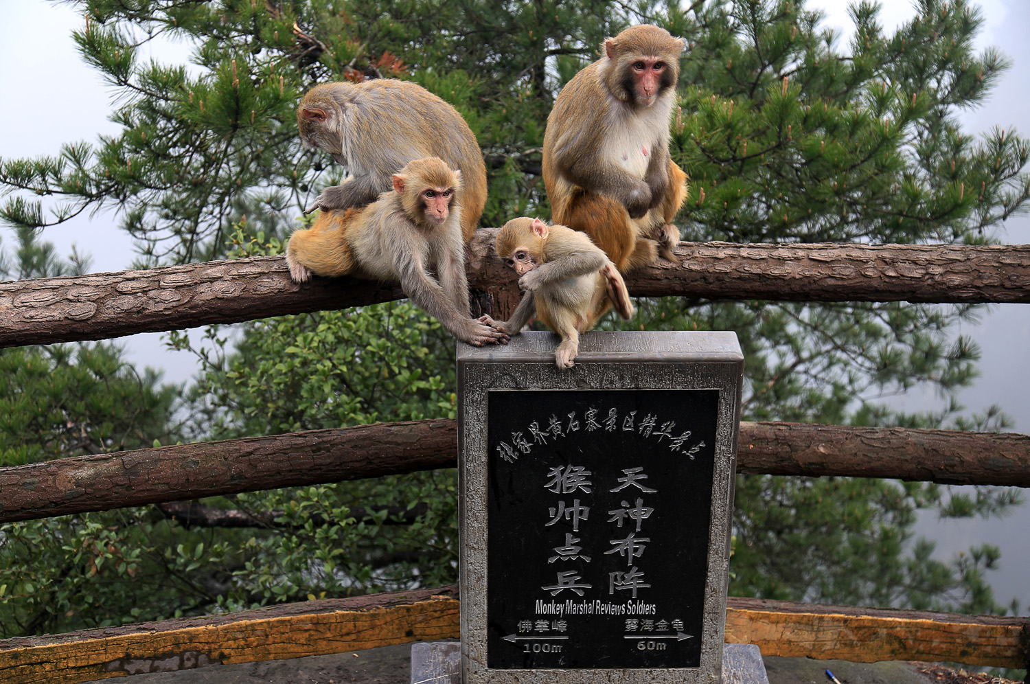 &#16005;帅练兵