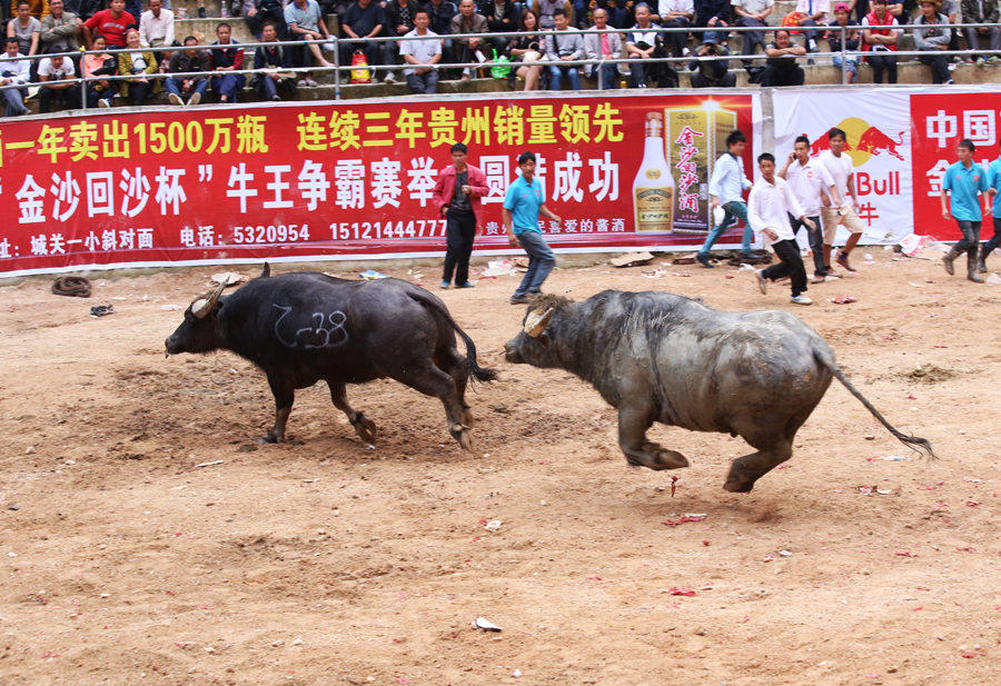穷追