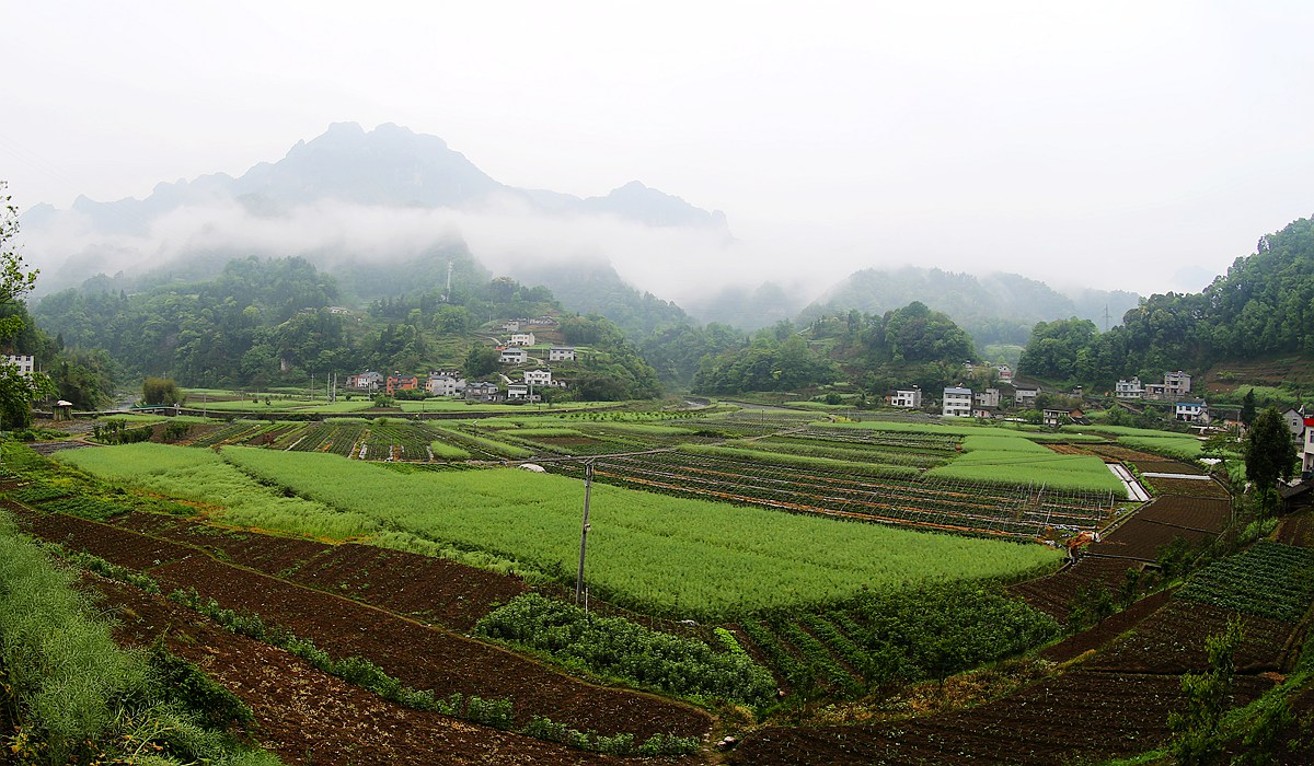 清江方山石林（湖北长阳）