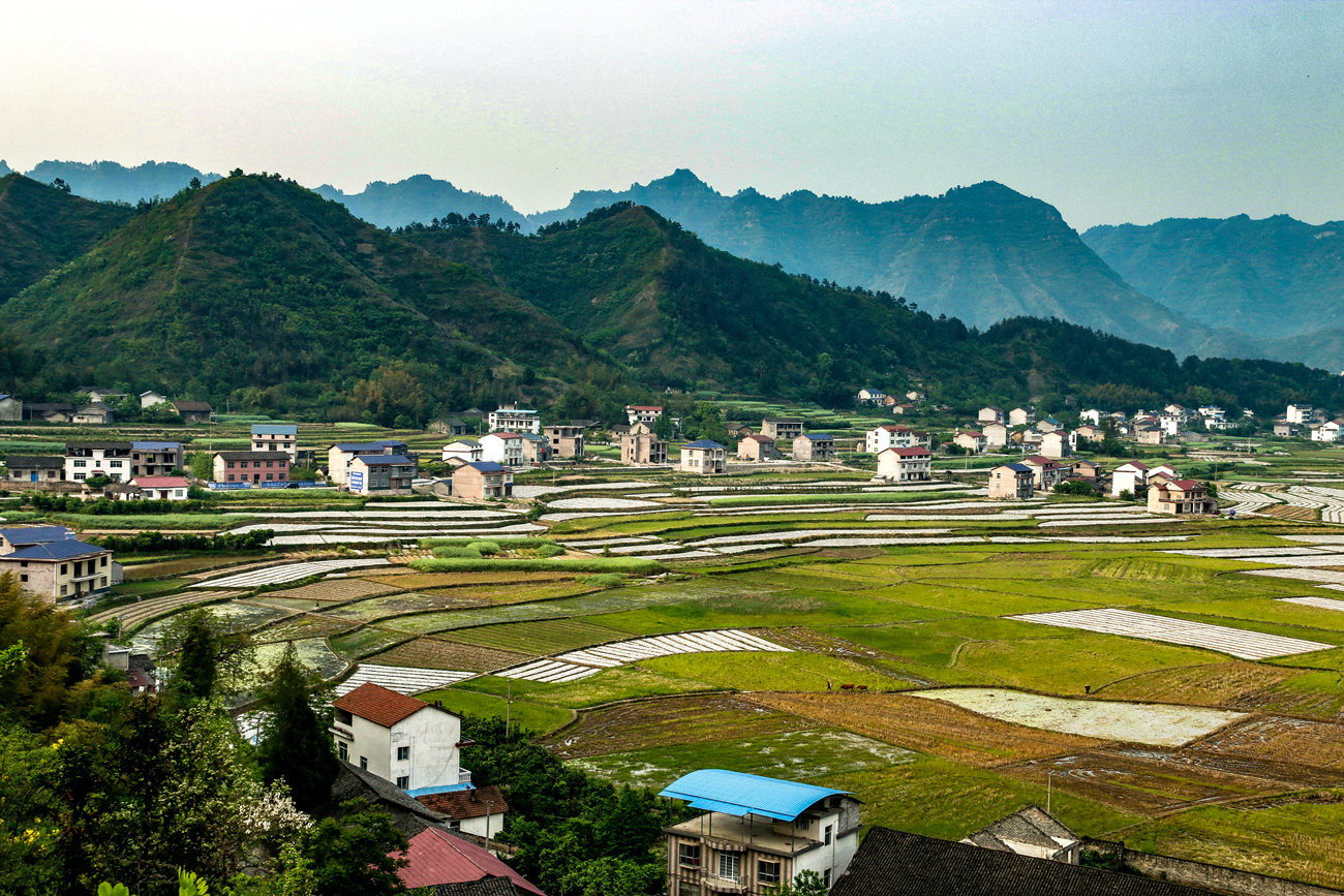 美丽的农村