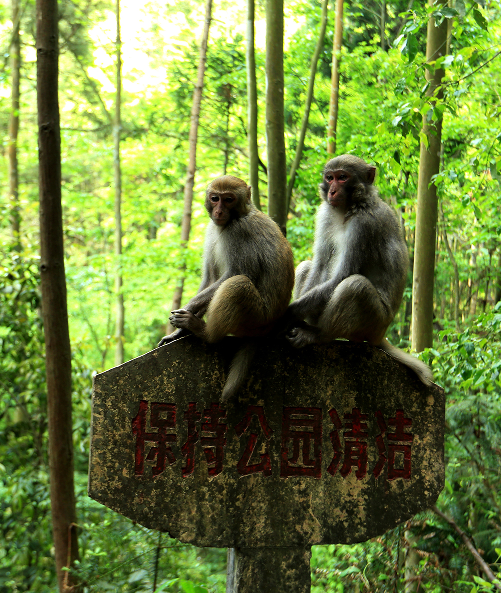 守候在风景区的兄弟