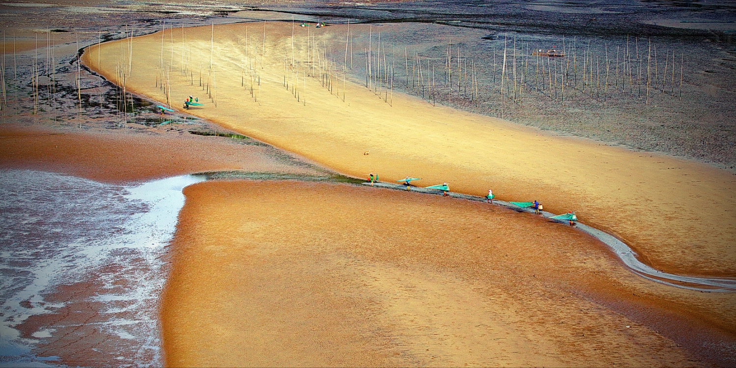 霞浦滩涂