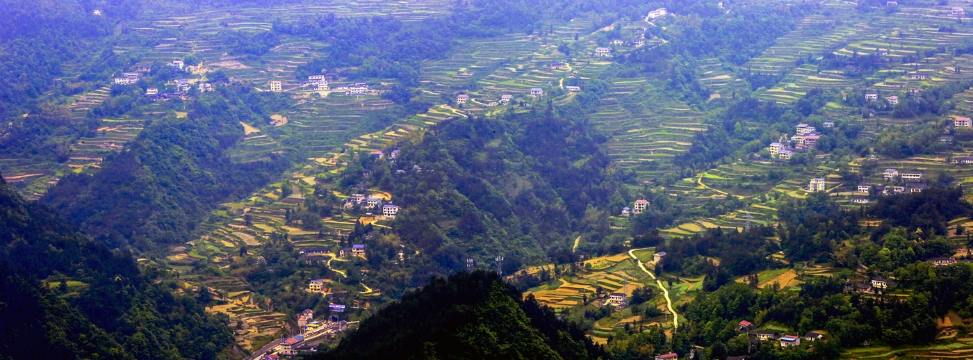 山村梯田A