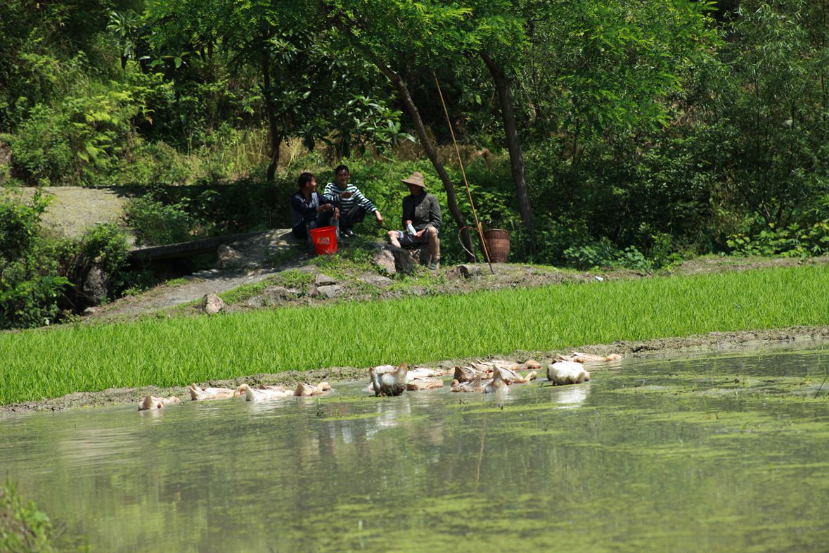 春天里