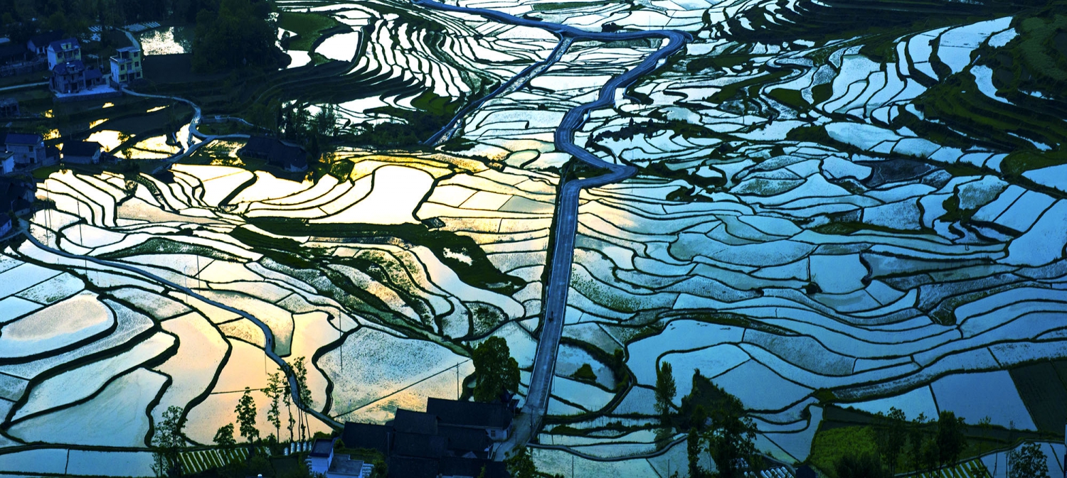 田园风光