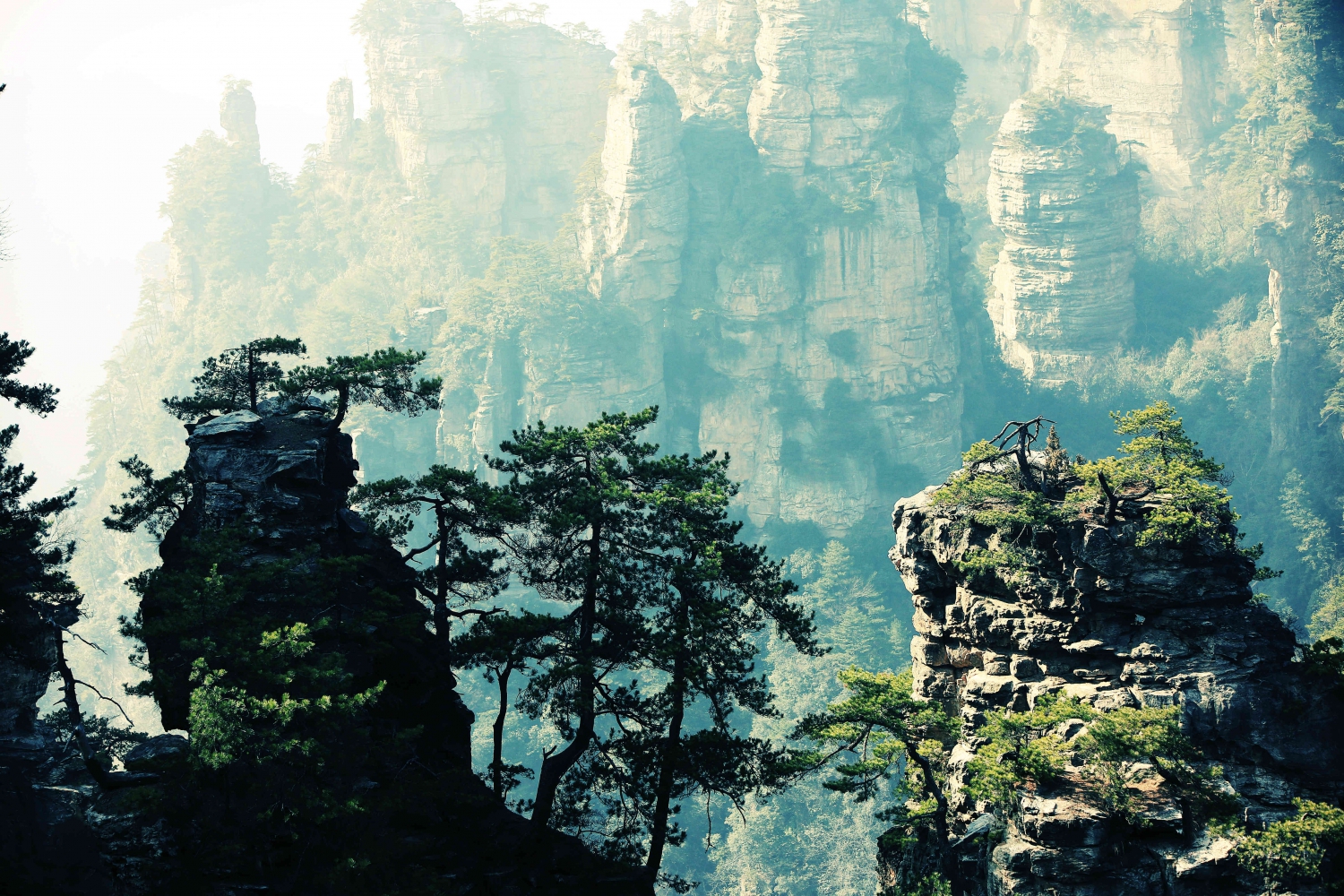 神仙台