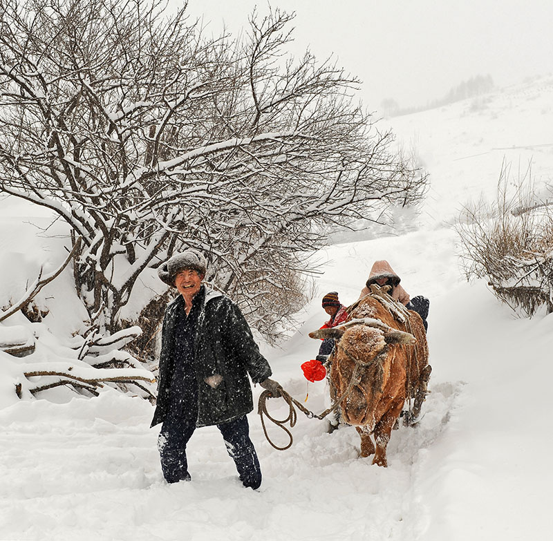 瑞雪兆丰年