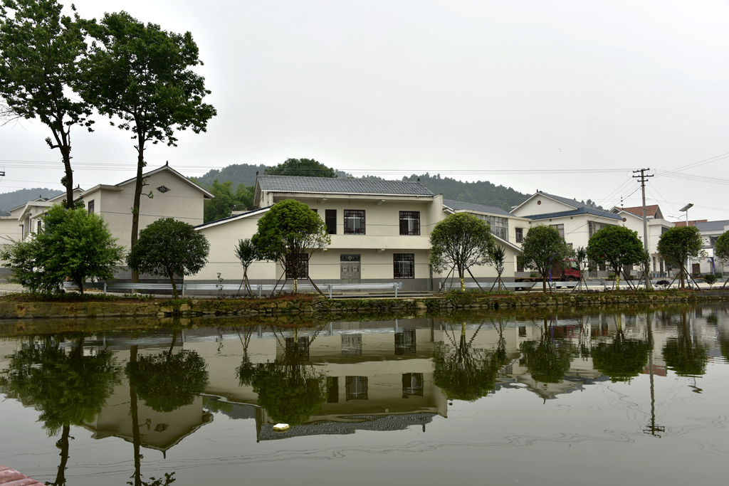 新农村1