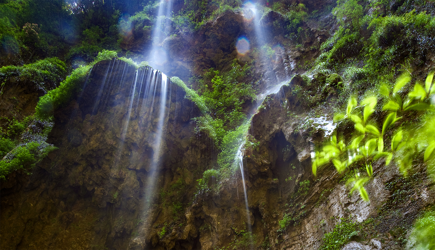 青山流水