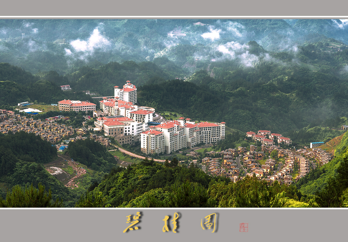 碧桂园