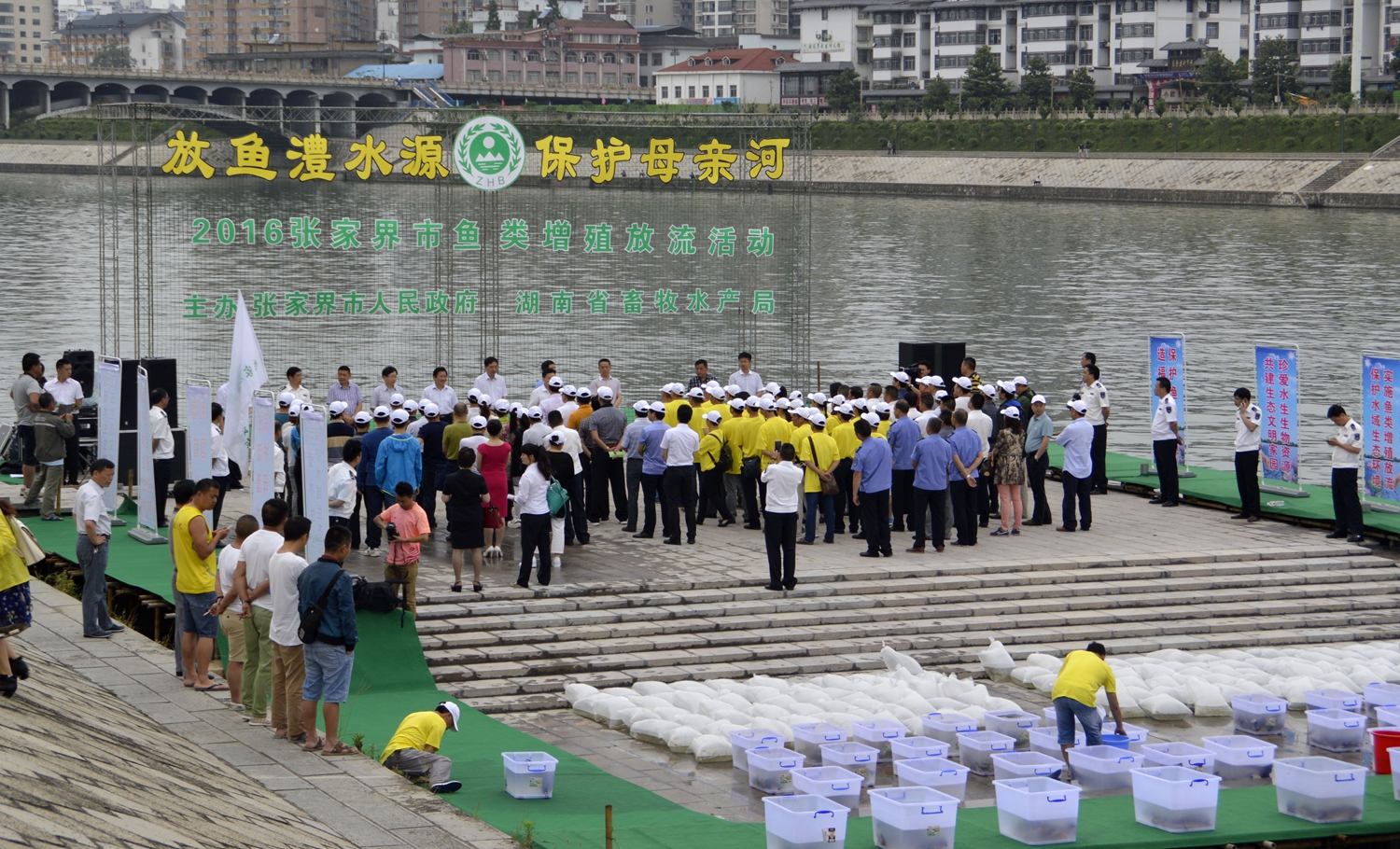 放鱼澧水源 保护母亲河
