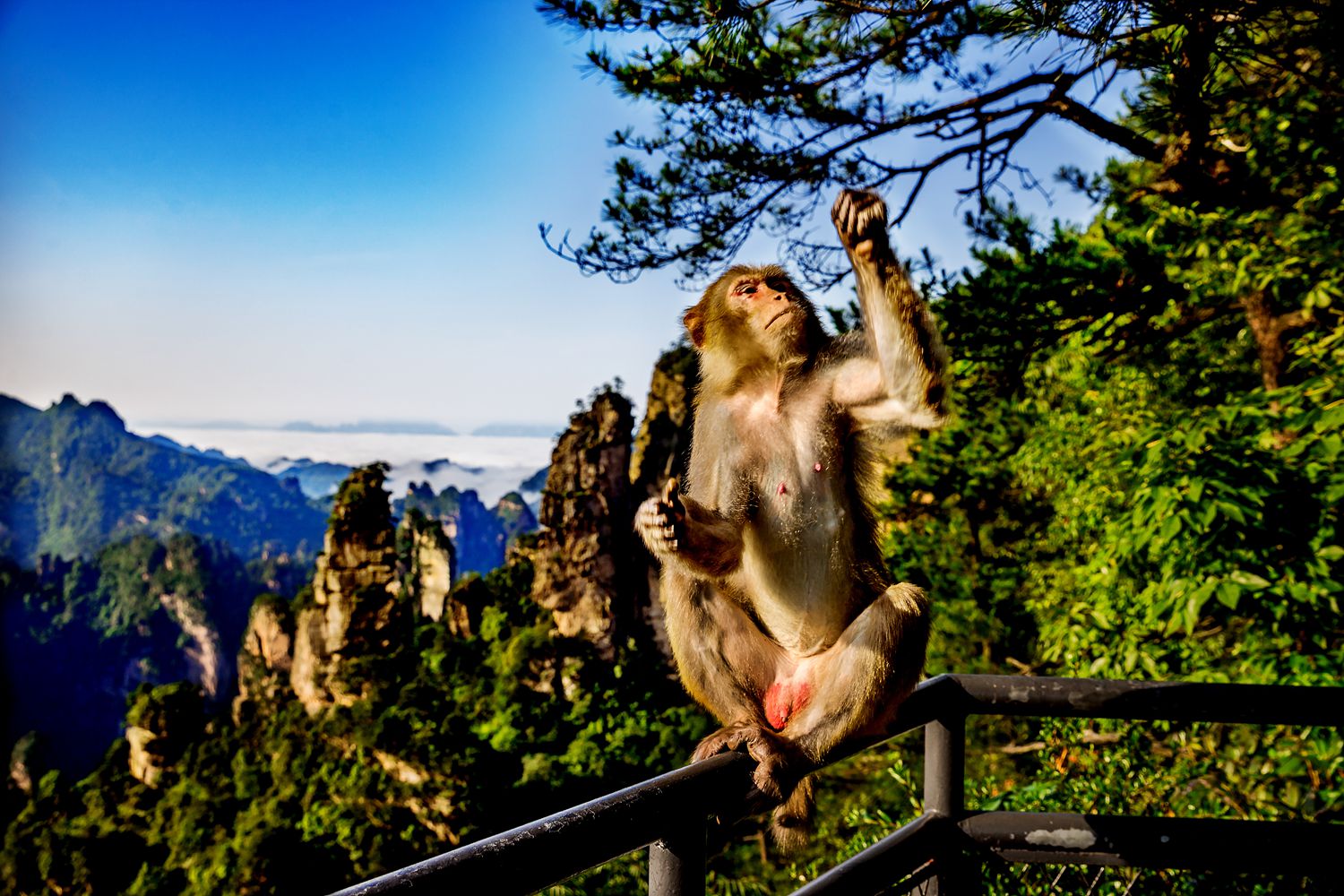 “我一定行！”