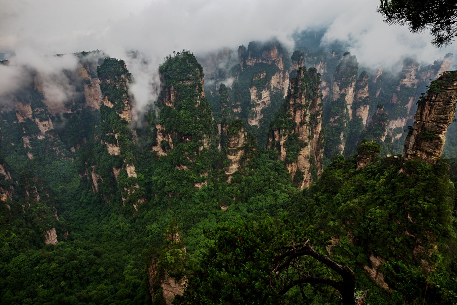 黄石寨雨后风光-4
