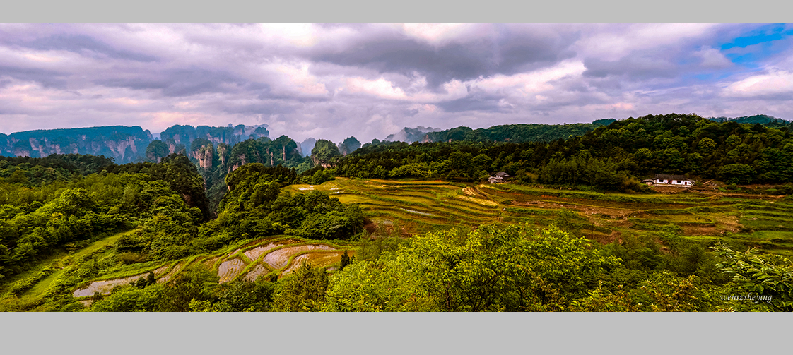 天子山风光
