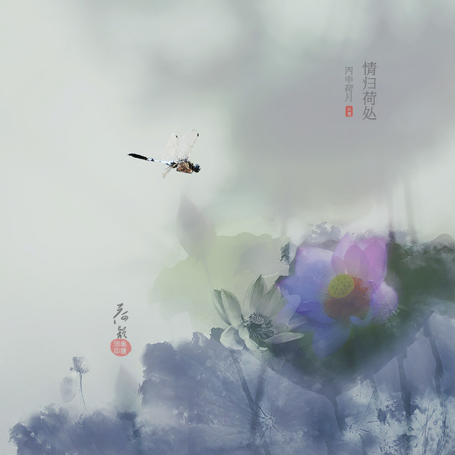 情归何处〔蜻归荷处〕