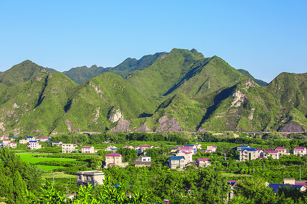青山