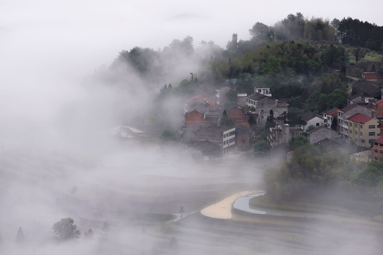 雾乡茗岙