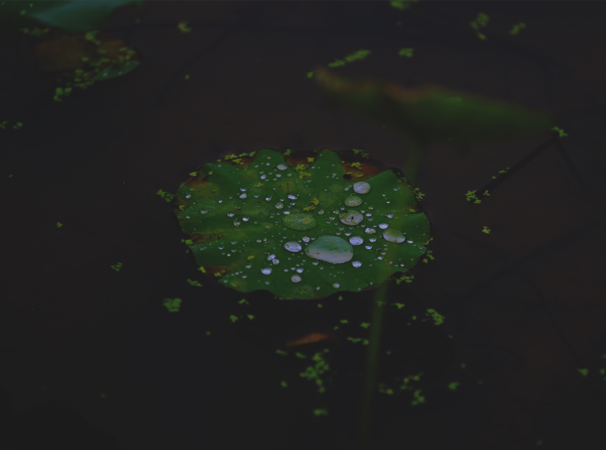 残荷