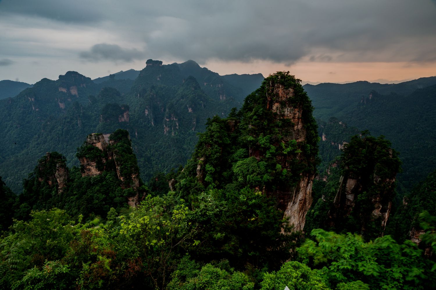 风雨欲来