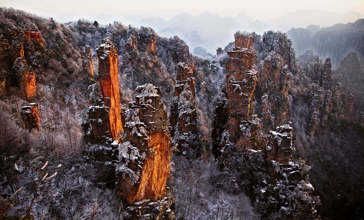 雪后