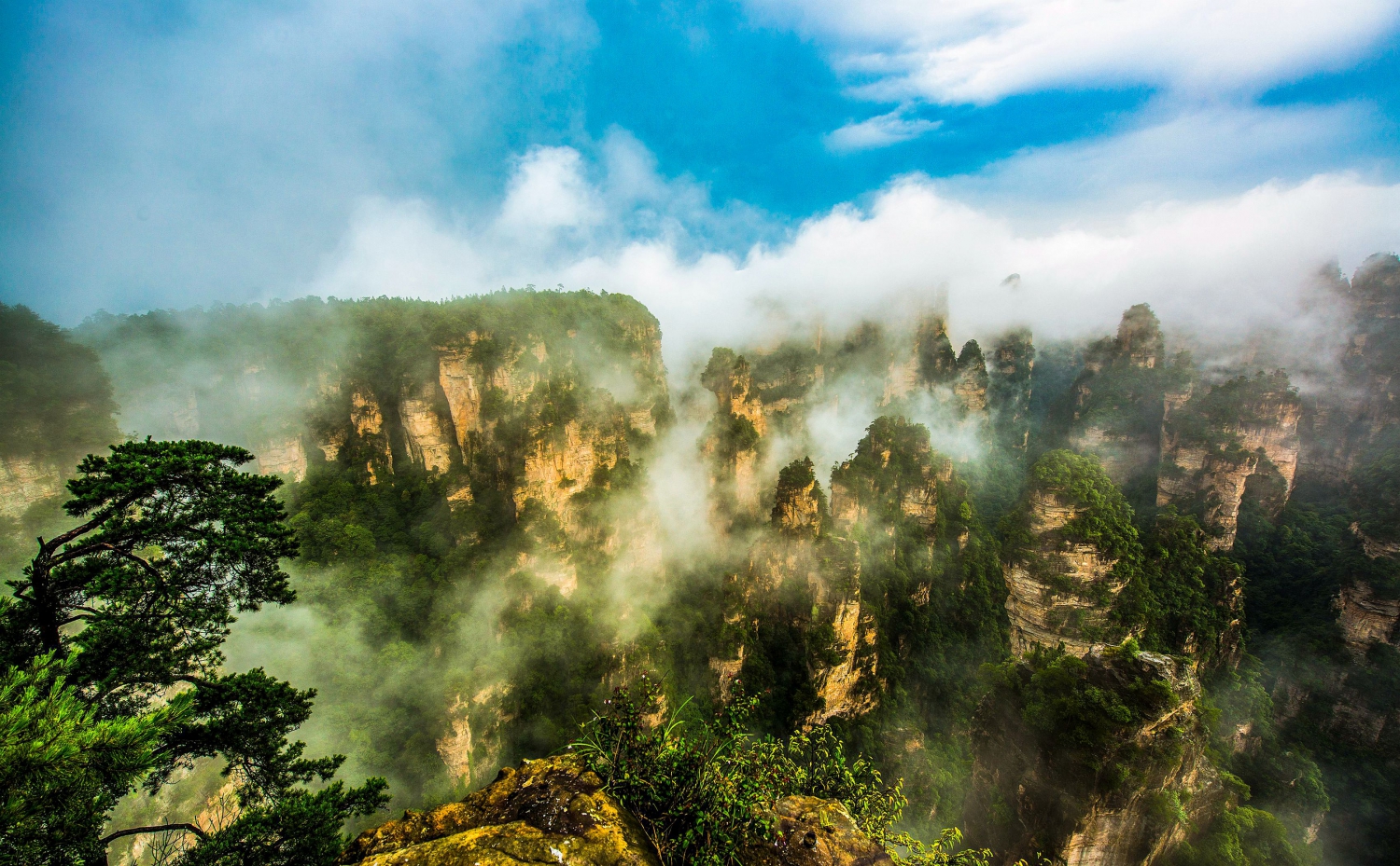 雾漫群峰